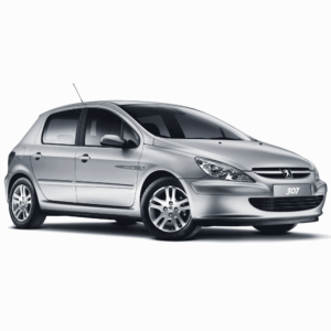 Выкуп битых запчастей Peugeot Peugeot 307